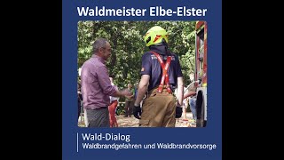 WaldDialog EE Waldbrandgefahren und Waldbrandvorsorge [upl. by Port]