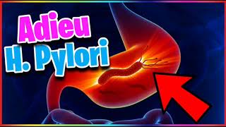 💥 Remed Natirel pou HPylori ✅ Kè Boule Asid Lestoma Ilsè Destoma [upl. by Hasan]