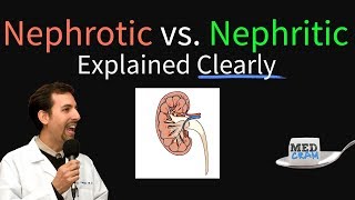 Nephrotic Syndrome vs Nephritic Syndrome Explained Nephritic vs Nephrotic [upl. by Jary]