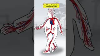 Raise Your Hemoglobin Levels health healthtips [upl. by Ainirtak]