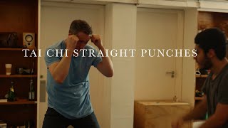 TAI CHI TRADITIONAL PUNCHING [upl. by Sheelagh539]