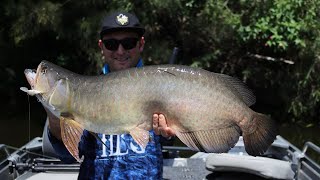 Borumba Dam  Big Saratoga and Bass on Jigs [upl. by Aeduj]