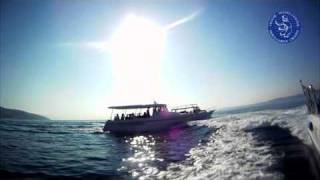 One day at Trogir Diving Center [upl. by Ayt]