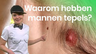 Waarom hebben mannen tepels  Waarom Daarom  Het Klokhuis [upl. by Anaiek387]