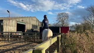 Aniela Newton riding Allegro October 24 BD elementary 3 [upl. by Francie]