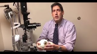 Healing Corneal Abrasions  Dr Alan Mendelsohn [upl. by Kristan646]