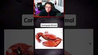 🔴Normal VS Maior do Mundo ib yurilohann vidareal curiosidades kadukos [upl. by Isaiah]