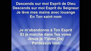 SOUFFLE SUR MOI ESPRIT DE DIEU  Jenna Diehl cantique Gitan [upl. by Choong]