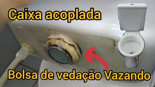 Caixa acoplada vazando pela bolsa de vedação 👷 faça você mesmo DIY [upl. by Ramed]