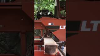 shortvideo Sawing 2nd Board From 2nd Nice 5ft Walnut woodworking [upl. by Llacam]