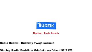 Radio Budzik  Fragment audycji na żywo quotTrochę Muzykiquot 19102024r [upl. by Godrich]