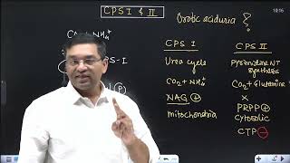 Link between Urea cycle and Pyrimidine NT synthesis  CPS 1 and 2 Orotic aciduria in Type 2 UCD [upl. by Twum]