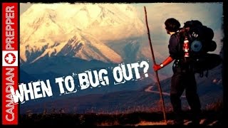 Bugging in VS Bugging Out Game Theory  Canadian Prepper [upl. by Klemens]