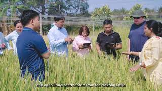 BOLD rice prebreeding in Vietnam [upl. by Deth]