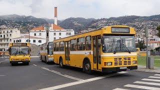 Citybuses in Funchal Madeira [upl. by Jehiel900]