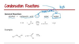 Condensation Reactions  Organic Chemistry [upl. by Thomasine]