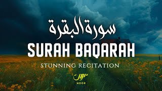 Most Beautiful Surah Baqarah سورة البقرة with English Translation ✦ NOOR [upl. by Macrae]