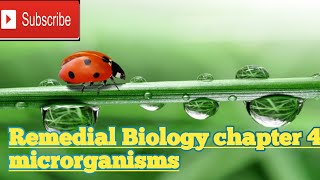 chapter four micro organismsremedial Biology [upl. by Rheingold413]