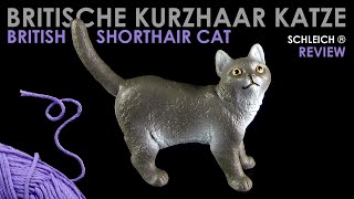 Schleich ® Britische Kurzhaar Katze  British Shorthair Cat  Review  Neuheit 2024 New [upl. by Ciredec291]