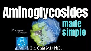 Aminoglycosides Mechanism of action 【USMLE biochemistry】 [upl. by Eannaj58]