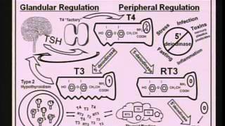 Epigenetics Modern Day Lifestyle and Your DNA [upl. by Eenolem]