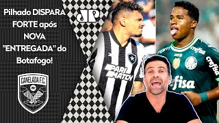 quotPOR O BOTAFOGO É FROUXO UMA VERGONHA O Palmeiras agora é o LÍDER equot Pilhado DISPARA [upl. by Jeff584]