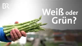 Ist grüner oder weißer Spargel gesünder  Gemüse  Ernährung  Gesund  BR [upl. by Milty122]