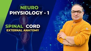 MBBS First Year  Neuro Physiology  Spinal Cord External Anatomy Dr Sachin Kapur  AIIMS [upl. by Gough]