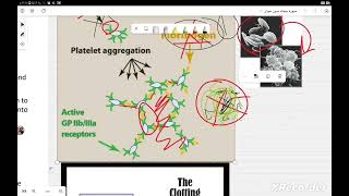 Blood pharmacology ll anticoagulants ampthrombolytics [upl. by Yniar]