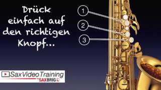 8 Videos für SaxophonAnfänger  Online Saxophon lernen shorts [upl. by Wilcox]