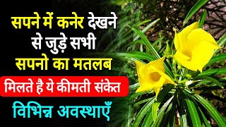 Sapne me Kaner ka ped dekhna  Sapne me kener ke pile safed phool dekhna kaisa hota hai [upl. by Newman]