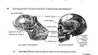 KCSE Biology revision 2015 biology paper 1 questions and answers science quiz exam guide [upl. by Ignaz]