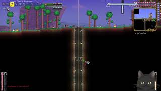 Modded Terraria Ep 10 [upl. by Rees394]