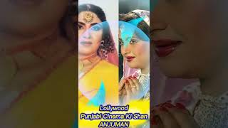 Iconic Heroine of LollywoodBest scene  KNR Entertainmentlollywood legends [upl. by Dirgni654]