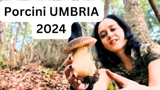 PORCINI UMBRI  LE CASTAGNOLE NERE DI OTTOBRE [upl. by Nodearb]