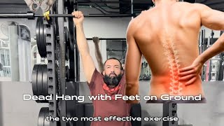 2 Best Exercises for Lower Back Strength amp Pain Relief  BeginnerFriendly Workouts [upl. by Eelanej731]