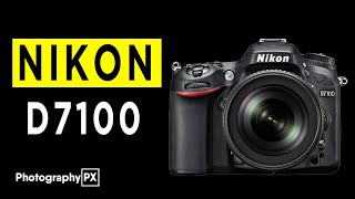 Nikon D7100 DSLR Camera Highlights amp Overview [upl. by Nash806]