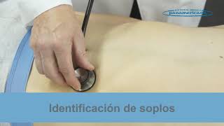 Video 22 Auscultación del abdomen [upl. by Oderfodog276]