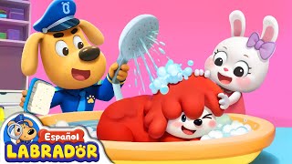 🔍Sheriff Labrador  Mi Mascota No Quiere Bañarse 🛁  Videos para Niños  BabyBus en Español [upl. by Attenod796]