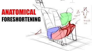 How to Draw Anatomy in your Foreshortening [upl. by Corie]