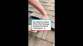 Decoding the Zipper Effect Roof Shingle Damage Explained by David Pennington  Leak Busters Roofing [upl. by Amitak32]