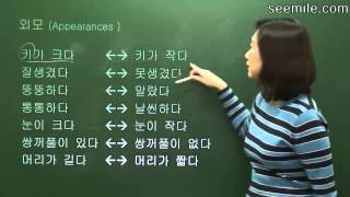 Seemilecom  Korean Level 2 lesson 8 [upl. by Chester]