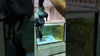 Cruel Arapaimas Black Chicken Dish 🦃 arapaimafish shortsviral viral shorts arapaima [upl. by Piper]