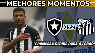 FABIANO PEDINDO PASSAGEM Botafogo 3 X 2 Santos  Gols e Melhores Momentos  Brasileiro Sub20 2024 [upl. by Luke]