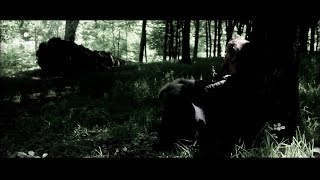 Gaz Brookfield  Black Dog Day Official Video [upl. by Ettezyl]