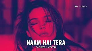 NAAM HAI TERA TERA  HIMESH RESHAMIYA  SLOWEDREVERB  BEST SONG MUSIC 🎵  SADLOVELOFI8 [upl. by Ycnan873]