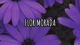 Flor morada letraNativell21 ❤️ [upl. by Dlaregztif]