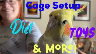 Almost Everything You Need To Know About Getting a Pet Cockatiel [upl. by Nosmoht]