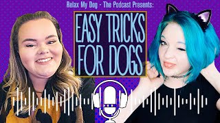 10 Easy Tricks to Teach Your Dog [upl. by Enywtna]