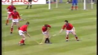 Shinty Camanachd Cup Final 1988  Kingussie v Glenurquhart [upl. by Arreis270]